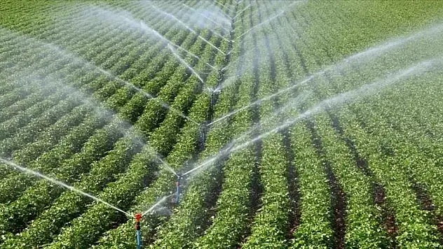 Çiftçileri sevindiren yüzde 50 indirim gelişmesinde uygulama esasları belirlendi