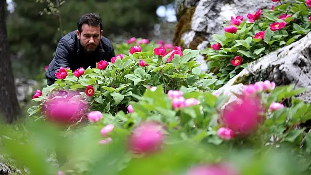 Yılda sadece 10 gün açıyor, koparana 244 bin lira ceza var