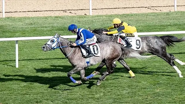 61. TBMM Koşusu'nu 'Derya Ateşi' kazandı