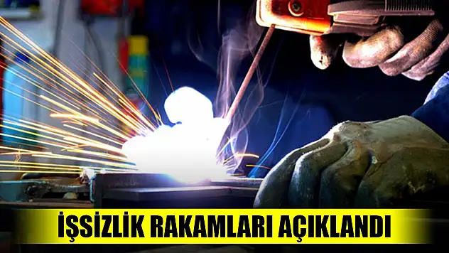 Son Dakika! İşsizlik rakamları açıklandı
