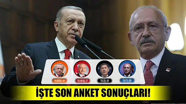 İşte son anket sonuçları!