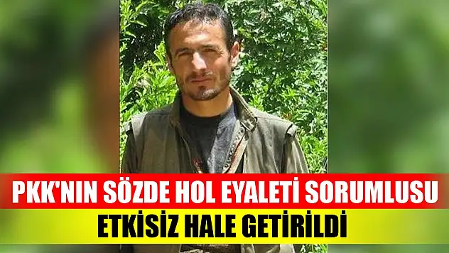 Sözde Hol eyaleti genel sorumlusu etkisiz hale getirildi