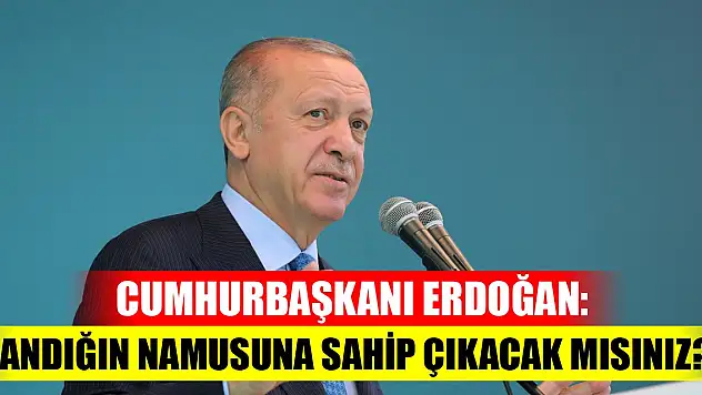 Cumhurbaşkanı Erdoğan: Sandığın namusuna sahip çıkacak mısınız?