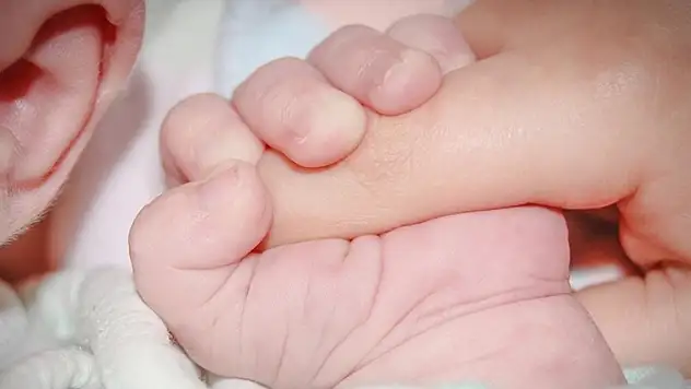 Türkiye'de canlı doğan bebek sayısı