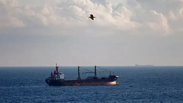 ABD'den Cumhurbaşkanı Erdoğan'a 'tahıl' teşekkürü