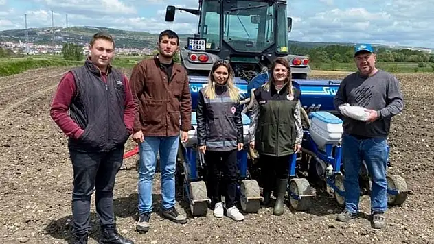 Kırklareli'de yerli ve milli ayçiçeği toprakla buluştu