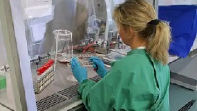 İşte Türkiye'de en çok kazandıran işler