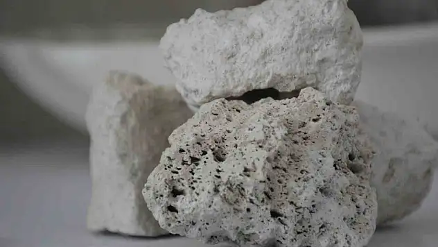 Beyaz altından yıllık 3 milyarlık gelir elde ediyorlar