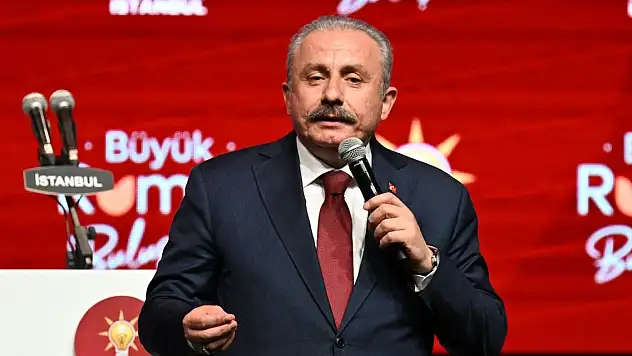 TBMM Başkanı Şentop: Bu seçim Türkiye'nin istikametinin devam edip etmeyeceği noktasında düğümleniyor