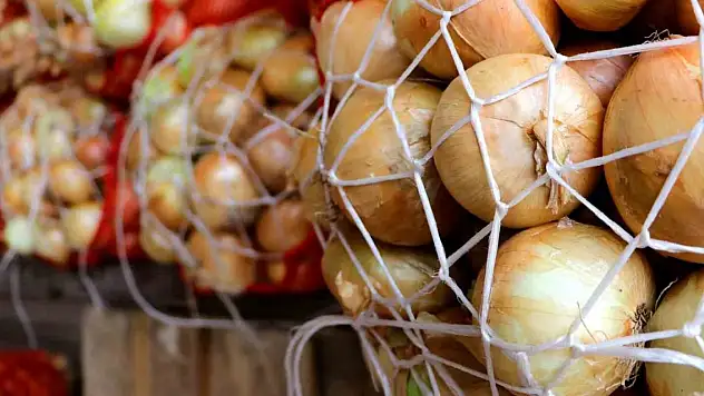 Soğan fiyatları gündemden düşecek