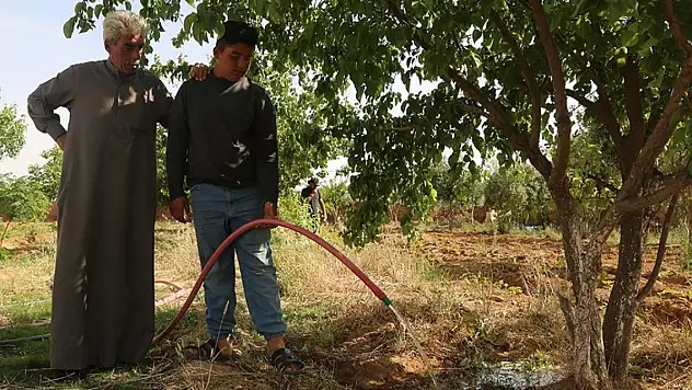 Tel Abyad'a geri dönen Suriyeliler, hayatlarını yeniden kurmaya başladı
