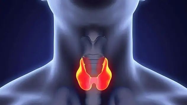 Tiroid ile ilgili merak edilen 10 soru