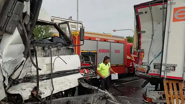 Yaralı köpeğe yardım etmek isterken TIR çarptı