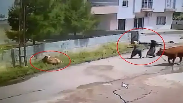 Elektrik akımına kapıldı! O anlar kamerada