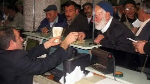 Emekli aylığının üçte biri kiraya gidiyor