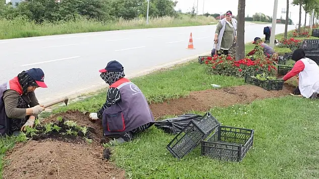 Rengarenk çiçekler toprakla buluştu