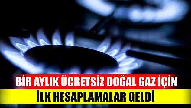 TÜİK'ten ücretsiz doğal gaz tüketiminde ilk açıklama geldi