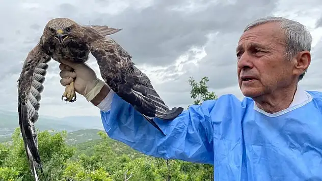 Kemik nakliyle sağlığına kavuştu, doğaya salındı