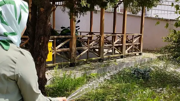 Ağaçları sulayarak dikkat çektiler