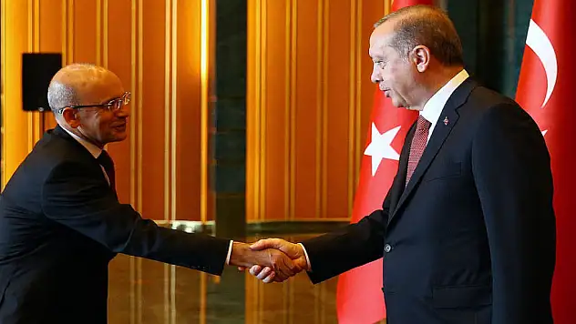 Hazine ve Maliye Bakanlığına getirilen Mehmet Şimşek kimdir?
