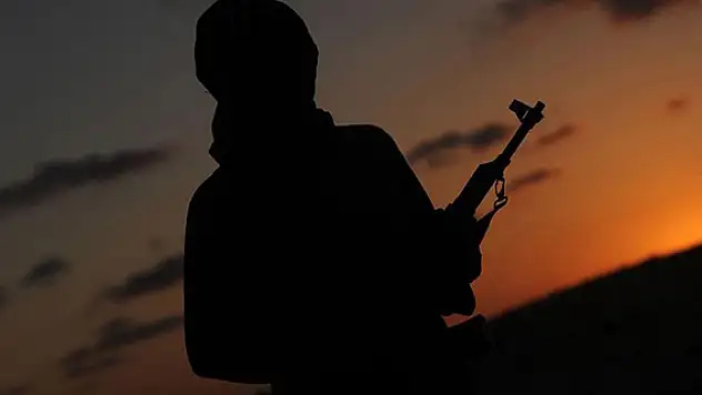 İkna çalışmaları sonucu bir PKK'lı terörist güvenlik güçlerine teslim oldu