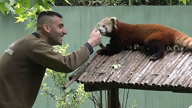 Macaristan'dan Bursa'ya geldi