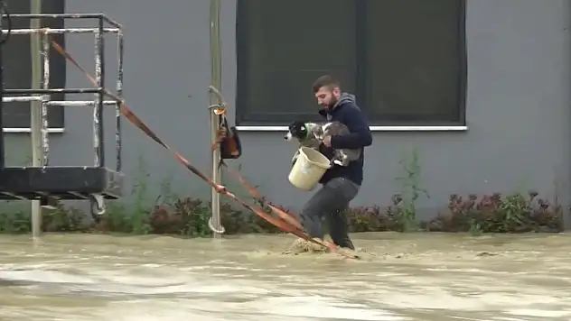 Selde mahsur kalan evcil hayvanlar kurtarıldı