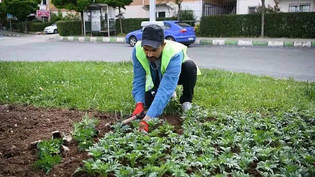 Kavşaklar güzelleşiyor