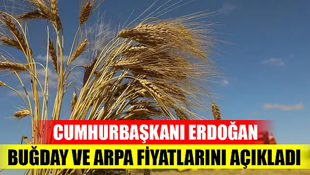 Cumhurbaşkanı Erdoğan buğday ve arpa fiyatlarını açıkladı
