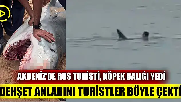 Akdeniz'de Rus turisti köpek balığı yedi Dehşet anlarını Turistler böyle çekti