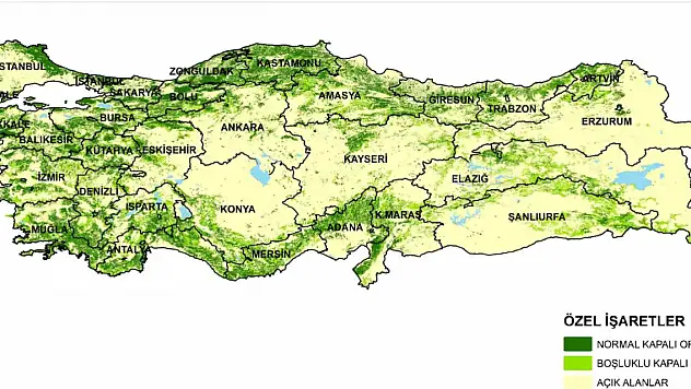 Türkiye'nin en yeşil kentleri belli oldu