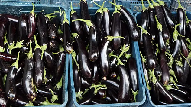 Halde 2, semt pazarında 4, market rafında 9 lira