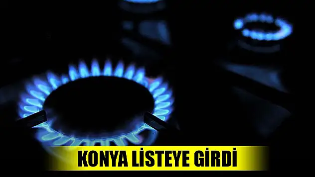 Doğal gaz verilerinde Konya o listede