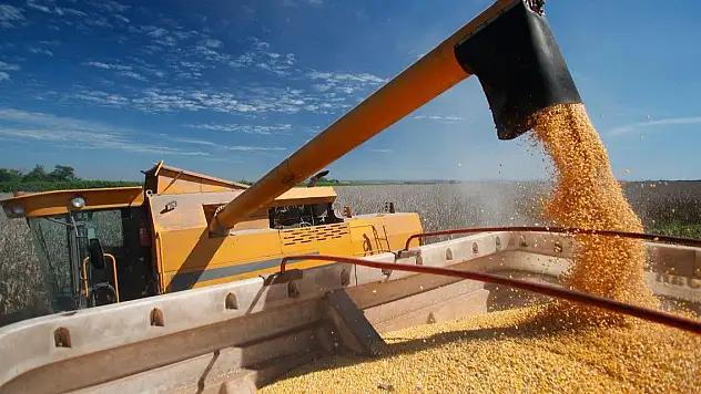 TMO hububat alımını 530 noktadan yapacak