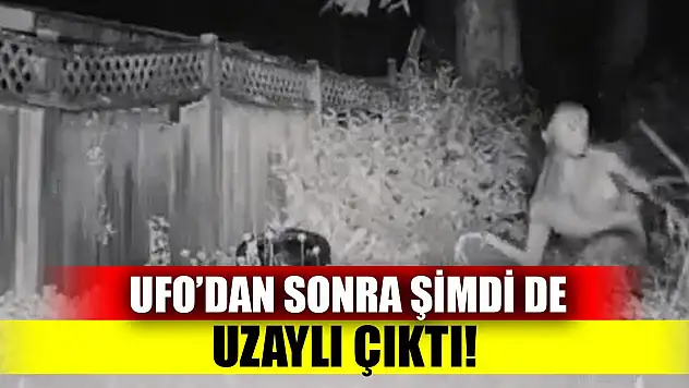 UFO'dan sonra şimdi de uzaylı