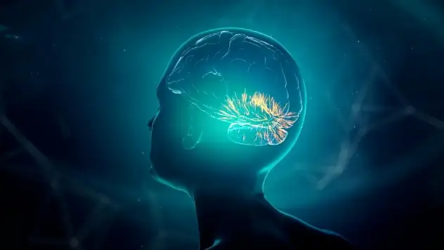 Ölümden dönen kişiler unuttuklarını kısa süreliğine hatırlıyor