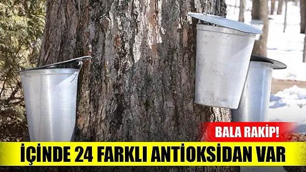 İçinde 24 farklı antioksidan var, bala rakip!