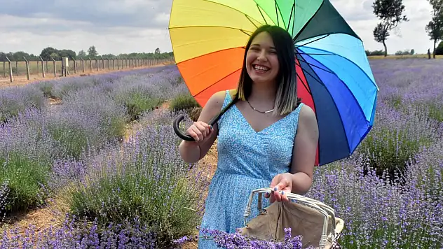 Tarlalar, mor renge büründü