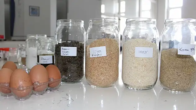 Kenevir küspesinden elde edilen tavuk yemi, yumurta kalitesini artırıyor