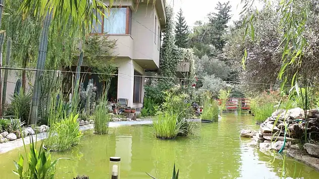 En güzel balkon seçildi! 132 bin lira kazandılar