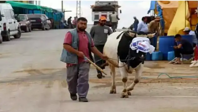 Resmi açıklama yapıldı! O ilimizde kurban pazarı kurulmayacak!