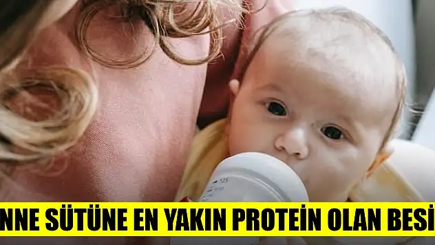 Anne sütüne en yakın protein olan besin