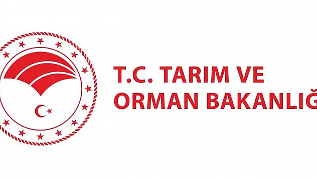 Tarım ve Orman Bakanlığı'ndan 'Uzman Eller Projesi'ne 300 milyon TL hibe