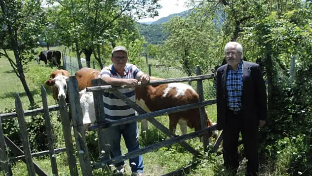 O ilde şap hastalığı nedeniyle hayvan pazarları kapatıldı