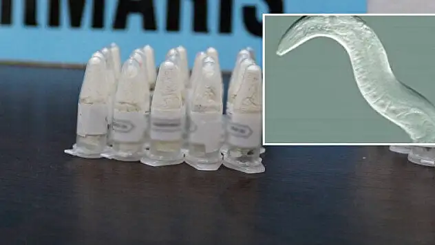 Cam tüpler içinde ele geçirildi