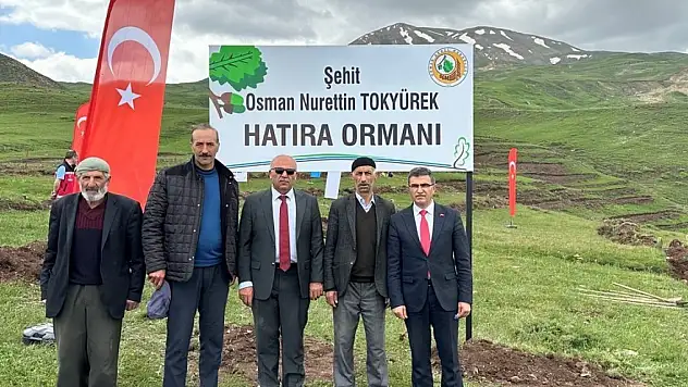 Şehidin hatırasına orman oluşturuldu