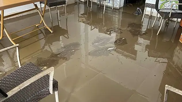 Sel suları çekildi, acı manzara ortaya çıktı