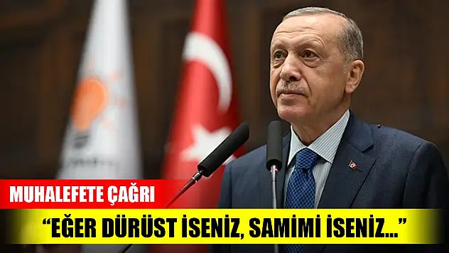 Son Dakika! Erdoğan'dan muhalefete anayasa çağrısı