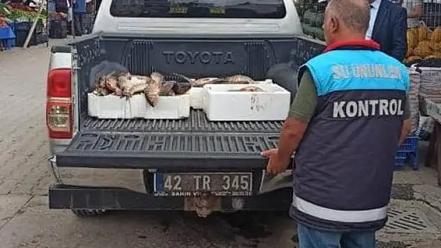 Beyşehir'de balık boy denetimleri