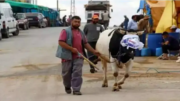 Yetkilerden kurban uyarısı